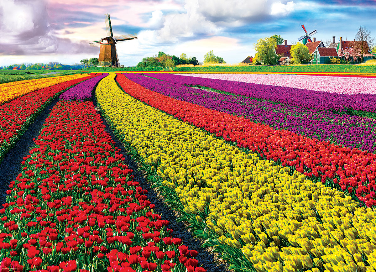 Голландия-страна цветов и цветоводов